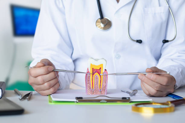 Best Emergency Treatment for Dental Infections or Abscesses in Huron, OH